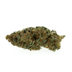 herbe-cbd-premium-mangue-kush_web