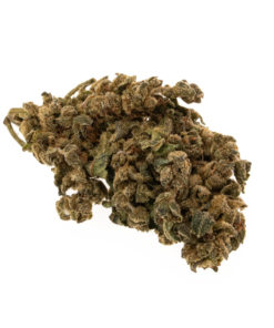 cbd-gras-premium-erdbeerli-bud_web