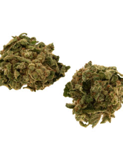 cbd-gras-sour-citron-EU-bud_web