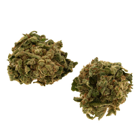 cbd-gras-sour-citron-EU-bud_web