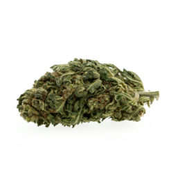 herbe-cbd-premium-pinapple-chunk-eu_1_web