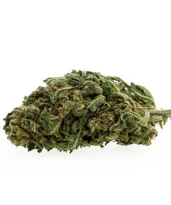 herbe-cbd-premium-pinapple-chunk-eu_1_web